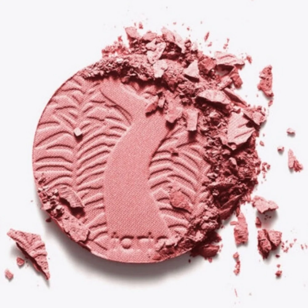 Amazonian Clay 12 Hour Blush in Paaarty